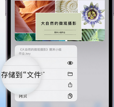 太子河apple维修中心分享iPhone文件应用中存储和找到下载文件