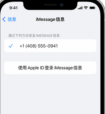 太子河apple维修iPhone上无法正常发送iMessage信息 