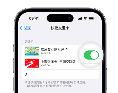 太子河apple维修点分享iPhone上更换Apple Pay快捷交通卡手绘卡面 