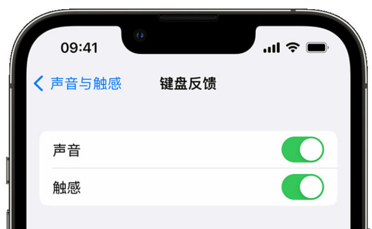 太子河苹果手机维修分享iPhone 14触感键盘使用方法 