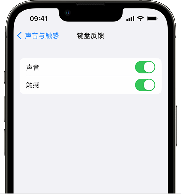 太子河苹果14维修店分享如何在 iPhone 14 机型中使用触感键盘 