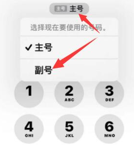 太子河苹果14维修店分享iPhone 14 Pro Max使用副卡打电话的方法 