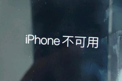 太子河苹果服务网点分享锁屏界面显示“iPhone 不可用”如何解决 