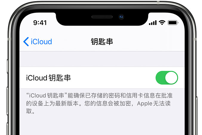 太子河苹果手机维修分享在 iPhone 上开启 iCloud 钥匙串之后会储存哪些信息 