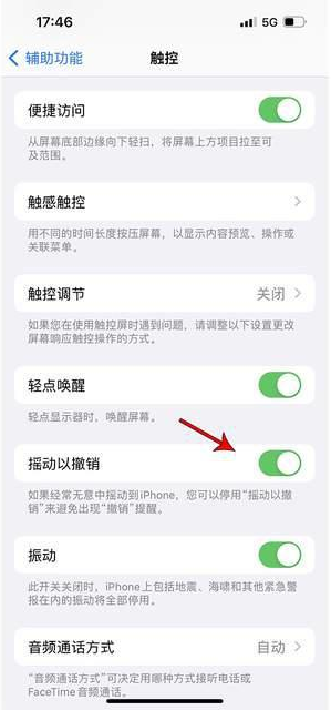 太子河苹果手机维修分享iPhone手机如何设置摇一摇删除文字 